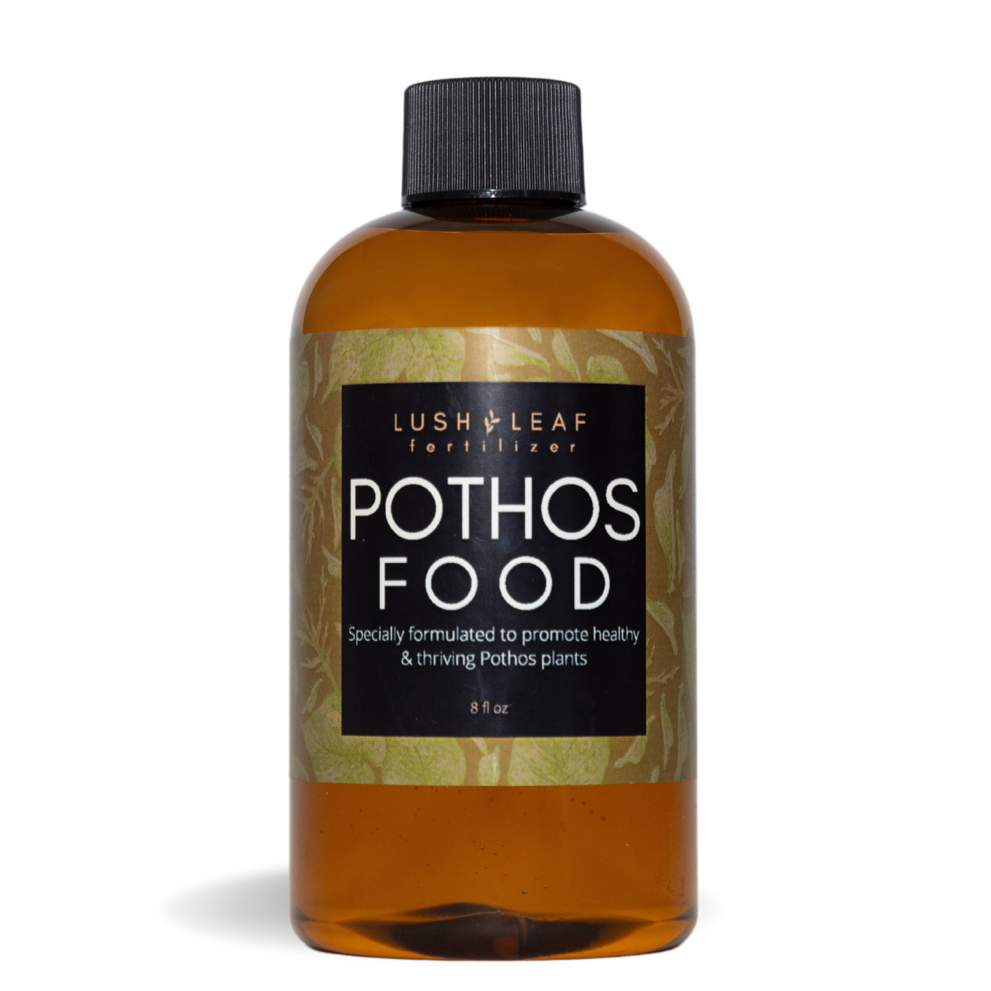 Pothos Plant Food