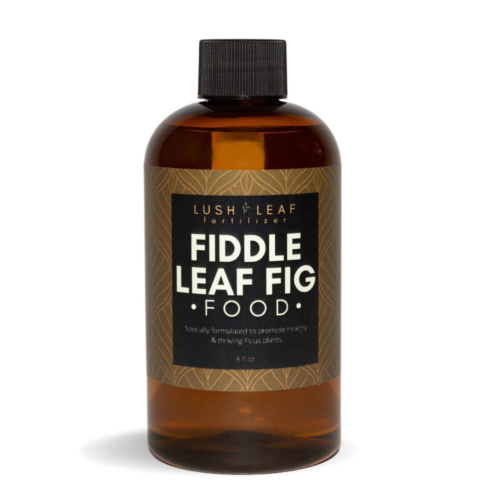 Fiddle Leaf Fig Food – Lush Leaf